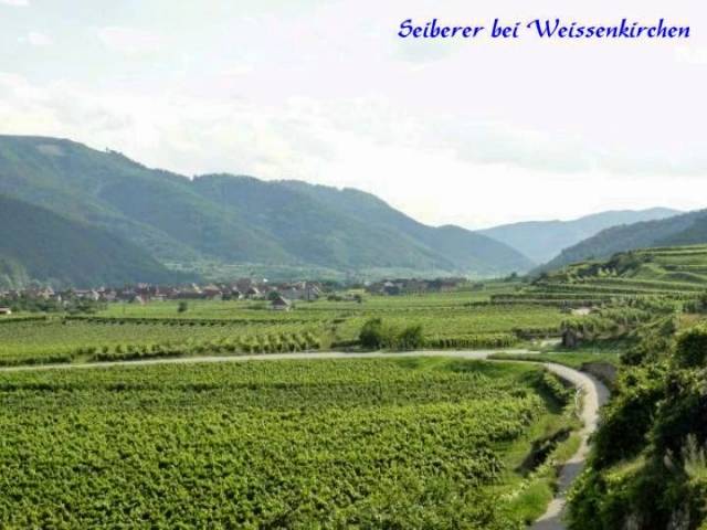 Slideshow sized image of 13 vor Weissenkirchen.jpg