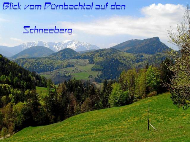 Slideshow sized image of 14_Schneeberg_und_Duerre_Wand_vom_Duernbachtal.jpg