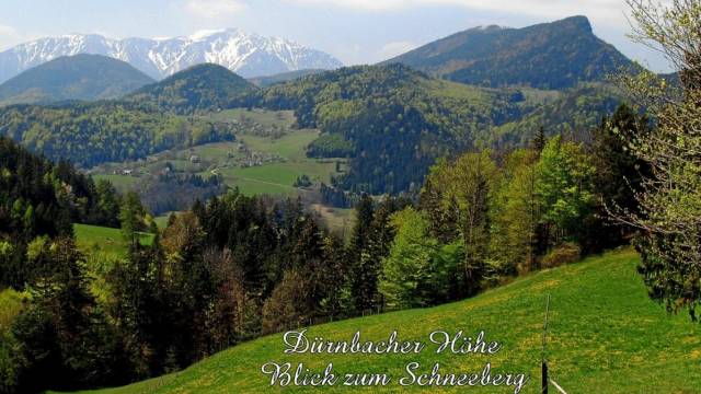 Slideshow sized image of 6 Duernbacher Hoehe (01).jpg